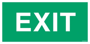 AC004 EXIT, FS - FOLIA SAMOPRZYLEPNA FOTOLUMINESCENCYJNA; (300X150MM) - Systemy ekspozycyjne i znaki informacyjne - miniaturka - grafika 1