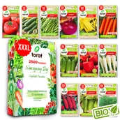 Nasiona i cebule - Nasiona warzyw BURAK CEBULA FASOLA OGÓREK PAPRYKA POMIDOR 12 SZTUK - miniaturka - grafika 1