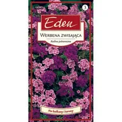 Nasiona i cebule - Werbena zwisająca mix 0,3 g Eden - miniaturka - grafika 1