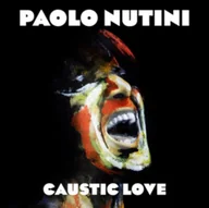 Pop - Caustic Love 2LP] Paolo Nutini - miniaturka - grafika 1