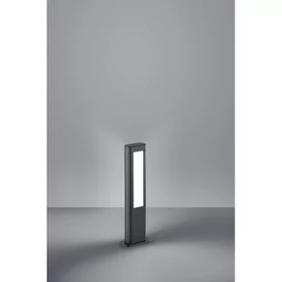 Trio Rhine LED 2x5,5W Wys. 50cm 3000K Lampa ogrodowa stojąca 521660242 521660242 - Lampy ogrodowe - miniaturka - grafika 1