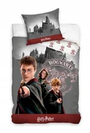 Pościel dla dzieci - Pościel Harry Potter Hermiona Ron Hogwarts 140x200 Oryginał 100% Bawełna - miniaturka - grafika 1