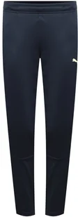Spodnie damskie PUMA - individualLIGA Women Pants 658055-47-XL - Puma - Spodnie damskie Spodnie damskie PUMA - individualLIGA Women Pants 658055-47-XL - Puma - Spodnie damskie - miniaturka - grafika 1
