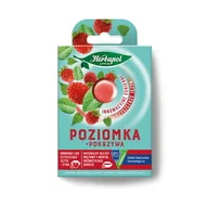 Cukierki - "HERBAPOL - LUBLIN" SPÓŁKA AKCYJNA Herbapol Cukierki Poziomka Pokrzywa 20g HERB.CUK.POZ.POK.20G - miniaturka - grafika 1