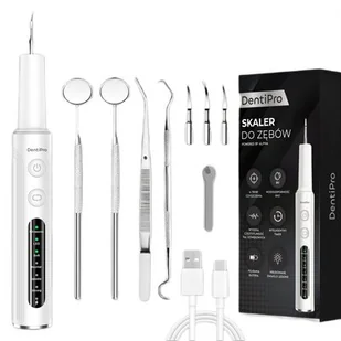 Skaler do zębów ALPHA DentiPro SWI-01 Biały - Pozostałe akcesoria kosmetyczne - miniaturka - grafika 1