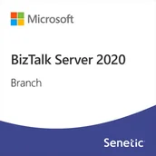 Programy biurowe - Microsoft BizTalk Server 2020 Branch DG7GMGF0G49Z-0002 - miniaturka - grafika 1