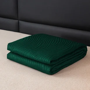 FEBE narzuta na łóżko 220x200 cm zielony koc narzuta na sofę narzuta na sofę puszysta mikrofibra dekoracja pokoju koc narzuta - Narzuty - miniaturka - grafika 1