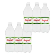 Desery dla dzieci - Muszynianka zdrój Naturalna woda mineralna wysokozmineralizowana niskonasycona CO2 1 l x 6 sztuk - miniaturka - grafika 1