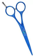 Nożyczki fryzjerskie - Fox Blue nożyczki fryzjerskie rozmiar 5,5 - miniaturka - grafika 1