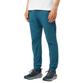 Spodnie męskie - Spodnie męskie Salomon Wayfarer turystyczne trekkingowe-M - miniaturka - grafika 1