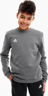 Bluza dla dzieci adidas Entrada 22 Sweat Top szara H57477 176cm - Bluzy damskie - miniaturka - grafika 1