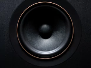 PSB Speakers Passif 50 - Głośniki i kolumny - miniaturka - grafika 4