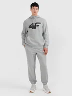 Spodnie sportowe męskie - 4F Spodnie dresowe joggery męskie - szare 3XL - miniaturka - grafika 1