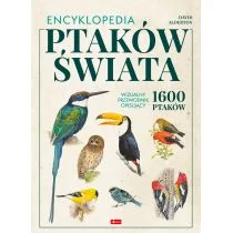 Encyklopedia Ptaków Świata David Alderton - Słowniki języków obcych - miniaturka - grafika 1
