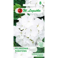 Nasiona i cebule - Pelargonia rabatowa Gama F1 biała nasiona 0,05g - miniaturka - grafika 1
