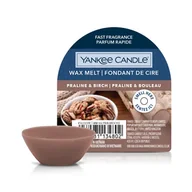 Zapachy do domu - Yankee Candle Wosk Zapachowy Praline & Birch - miniaturka - grafika 1