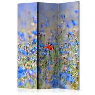 Parawany - Parawan 3-częściowy - Łąka w kolorze nieba - chabry [Room Dividers] (rozmiar 135x172) - miniaturka - grafika 1