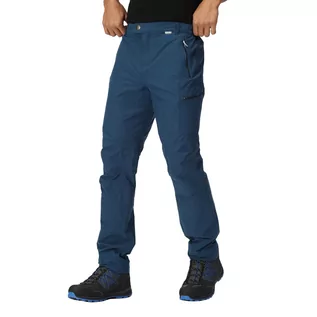 Spodnie męskie - Regatta Męskie Spodnie Trekkingowe Highton Niebieski, Rozmiar: 38L - grafika 1