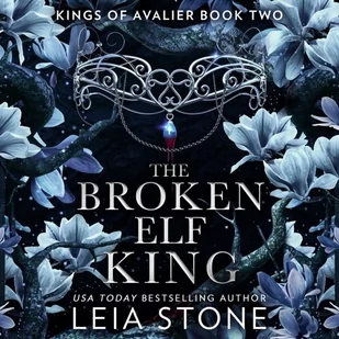 Broken Elf King - Audiobooki obcojęzyczne - miniaturka - grafika 1