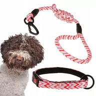 Smycze dla psów - OBROŻA + SMYCZ dla psa WYGODNA REGULOWANA podszyta neoprenem na klips - miniaturka - grafika 1