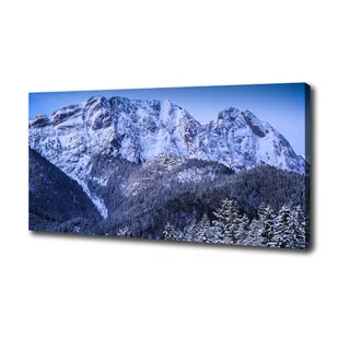 Foto obraz na płótnie Giewont Tatry - Obrazy i zdjęcia na płótnie - miniaturka - grafika 1