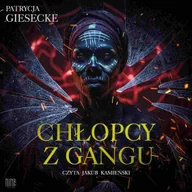 Audiobooki - fantastyka i horror - Chłopcy z gangu - miniaturka - grafika 1