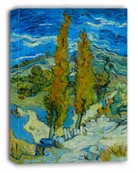 Obrazy i zdjęcia na płótnie - Vincent Van Gogh, The Poplars at Saint-Rémy - obraz na płótnie Wymiar do wyboru: 60x90 cm - miniaturka - grafika 1