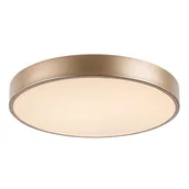 Lampy sufitowe - Rabalux 71037 - LED Plafon TESIA LED/36W/230V 3000K - miniaturka - grafika 1