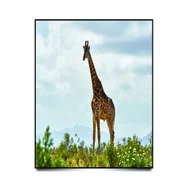 Puzzle - PUZZLE Widok Pejzaż Krajobraz Afryka Żyrafa + IMIĘ Pudełko 120 el. - miniaturka - grafika 1