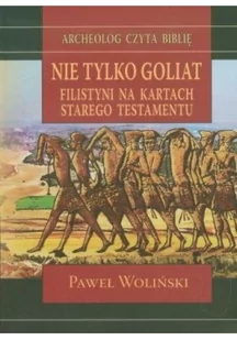 Nie tylko Goliat - Woliński Paweł - Książki religijne obcojęzyczne - miniaturka - grafika 2