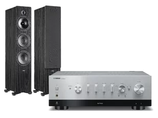 Yamaha R-N800A (srebrny) + Tesi 661 (czarny) - Zestawy stereo - miniaturka - grafika 1