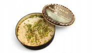 Chałwa - Pistachios Halva Can 350g|SENER - miniaturka - grafika 1