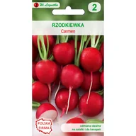 Nasiona i cebule - Legutko Rzodkiewka CARMEN - miniaturka - grafika 1