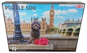 Puzzle - Tactic Puzzle Dog in London 500 - miniaturka - grafika 1
