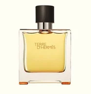 Wody i perfumy męskie - Hermes Terre d´Hermes 75ml woda perfumowana Tester - miniaturka - grafika 1