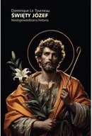Religia i religioznawstwo - Święty Józef. Niedopowiedziana historia - Dominique Le Tourneau - miniaturka - grafika 1