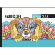 Kolorowanka antystresowa Kaleidoscope - Rozwój osobisty - miniaturka - grafika 1