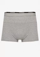 Majtki męskie - Jasnoszare Bawełniane Majtki Bokserki z Ozdobnym Napisem i Szeroką Gumką w Pasie Blinsea - miniaturka - grafika 1