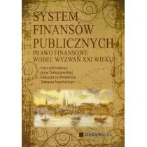 System finansów publicznych - Ekonomia - miniaturka - grafika 1