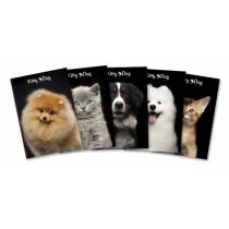 HAMELIN Brulion A5, 96 kartek, kratka z marginesem, Top 2000 Kitty&Dog 29878-uniw - Szkolne artykuły papiernicze - miniaturka - grafika 1