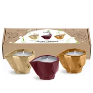 Świece - Wkłady do świecy Lizzio Reffill 3-pack Autumn Ambience - miniaturka - grafika 1