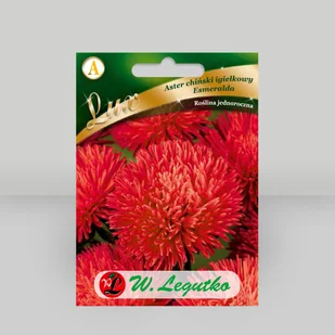 Aster chiński igiełkowy Esmeralda Czerwony 0,5g - Nasiona - W. Legutko - Nasiona i cebule Aster chiński igiełkowy Esmeralda Czerwony 0,5g - Nasiona - W. Legutko - Nasiona i cebule - miniaturka - grafika 1