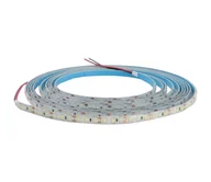 Taśmy LED - LED Taśma łazienkowa DAISY 5m ciepła biel IP65 - miniaturka - grafika 1