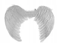 Dodatki do strojów karnawałowych - skrzydła anioła 50x38 67-75 - miniaturka - grafika 1