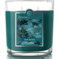 Świece - Świeca zapachowa w szkle 2 knoty Colonial Candle 269 g - Świerk Blue Spruce - miniaturka - grafika 1