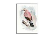 Obrazy i zdjęcia - Akwarela ręcznie malowana Sójka - miniaturka - grafika 1