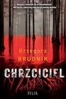 Kryminały - Chrzciciel - Grzegorz Brudnik - książka - miniaturka - grafika 1