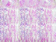 Gadżety na imprezę - _xx_"Kurtyna Party, opalizujący, 90 x 250cm" CRT-017 - miniaturka - grafika 1
