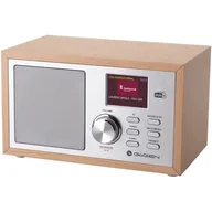Radia - GoGEN DAB 620 BTCS Srebrno-brązowe - miniaturka - grafika 1