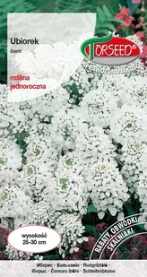 Nasiona Ubiorek biały - Torseed - Nasiona i cebule - miniaturka - grafika 1